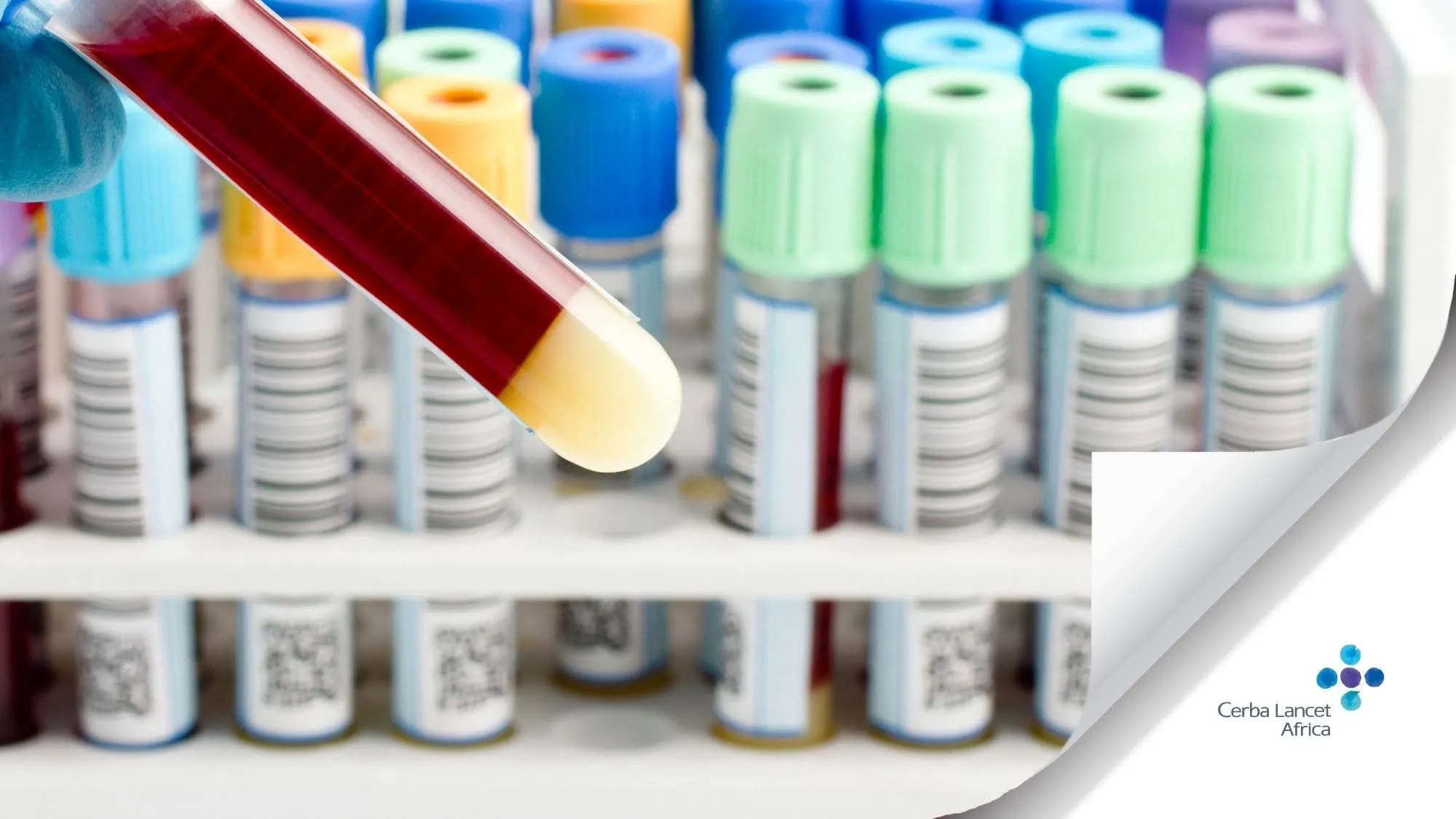 Lancet Laboratories East Africa Group (3)